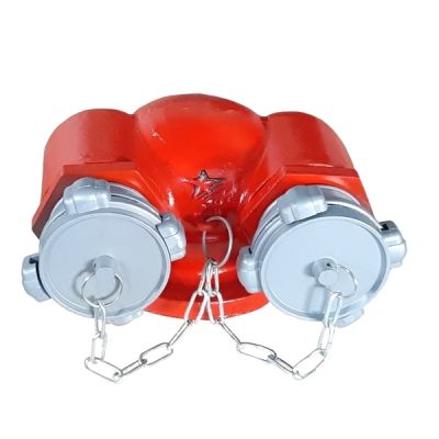 Họng Tiếp Nước Chữa Cháy DN100