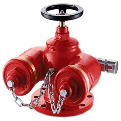 HỌNG TIẾP NƯỚC PCCC(MALAYSIA)